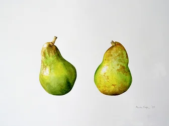 Un par de peras, 1997